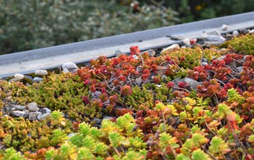 the cost of Trysull green roof installation