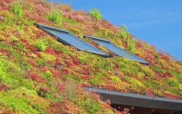 Trysull living roof systems